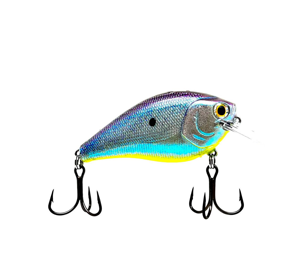 Crankbait Fishing Guide