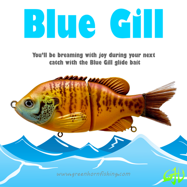 Blue Gill