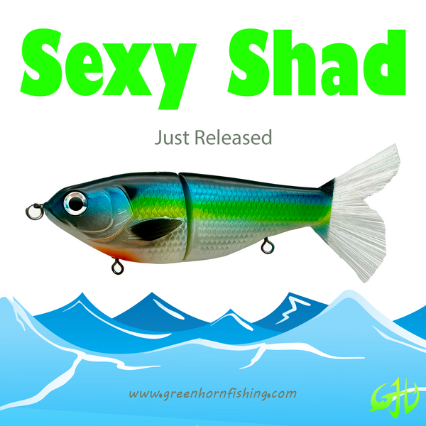 Sexy Shad